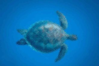 A sea turtle formed by many small particles swimming in clear blue water.