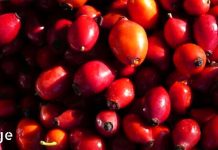 5 ნიშანი იმისა, რომ შეიძლება გქონდეთ თირკმელების დაავადება!