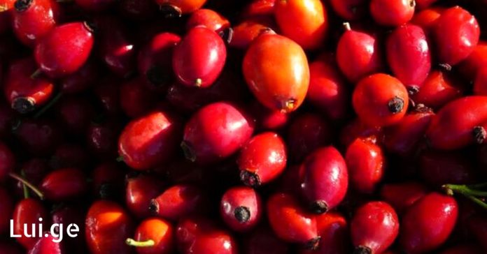 xr:d:DAE6eZCBj_I:1363,j:25722782311,t:22050908