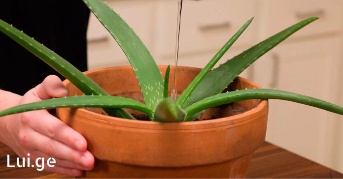 xr:d:DAE6eZCBj_I:1908,j:28440470415,t:22061210