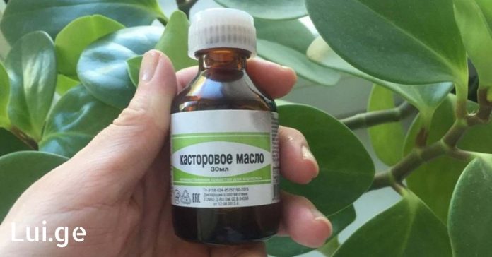 xr:d:DAFDpjCTLwk:656,j:32007528596,t:22080212