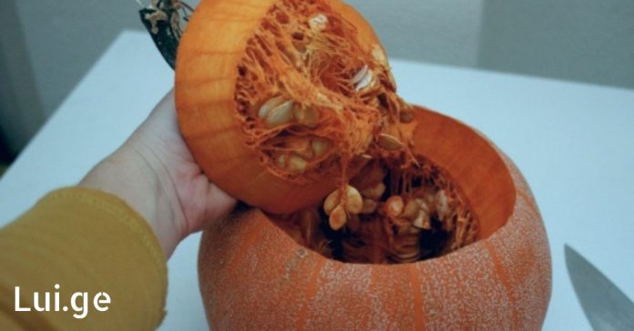 xr:d:DAFDpjCTLwk:583,j:31706930958,t:22072817