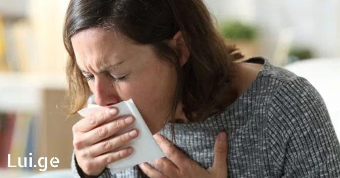 xr:d:DAFDpjCTLwk:1057,j:34229474399,t:22090108