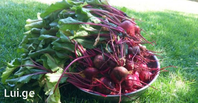 xr:d:DAFDpjCTLwk:860,j:33235583634,t:22081906