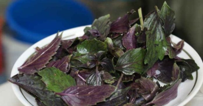 Untitled-design-10-3