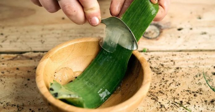 Untitled-design-11-2