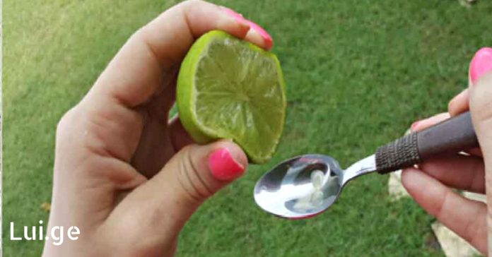 xr:d:DAFDpjCTLwk:24,j:28837759019,t:22061708