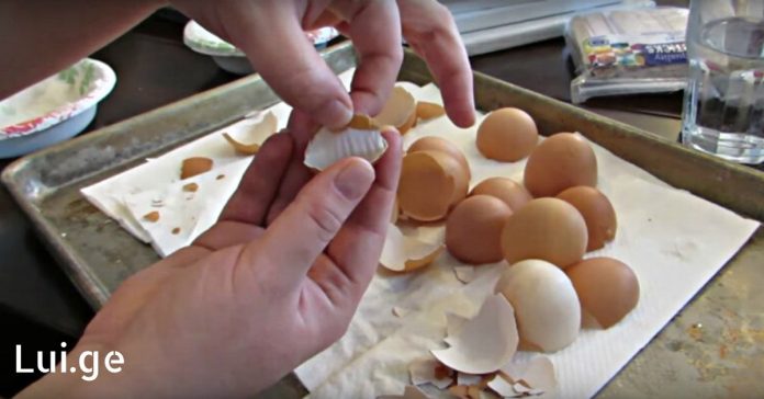 xr:d:DAFDpjCTLwk:28,j:28839625260,t:22061708