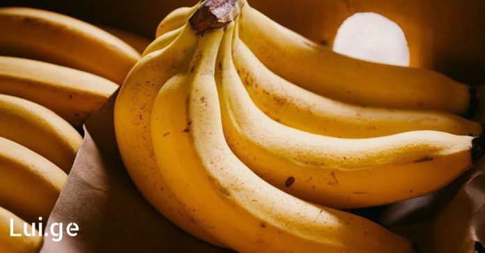 xr:d:DAFDpjCTLwk:67,j:29103823108,t:22062108