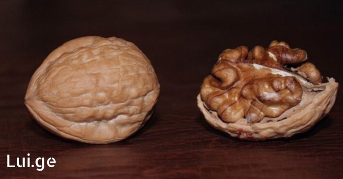 xr:d:DAFDpjCTLwk:14,j:28760034507,t:22061608