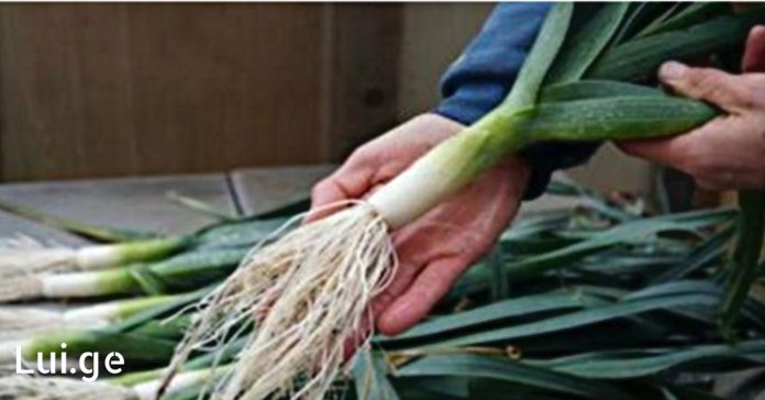 xr:d:DAFDpjCTLwk:97,j:29278691801,t:22062309