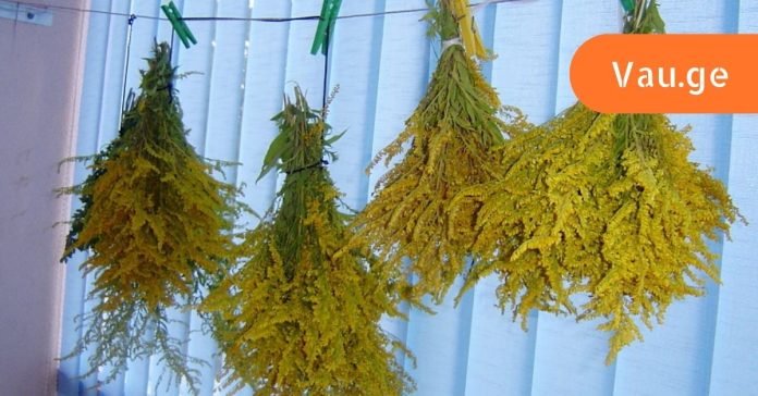 andronikas-sargebeli