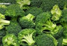 4 მიზეზი თუ რატომ უნდა მიირთვან ქალებმა ბროკოლი ბროკოლი-ქალები