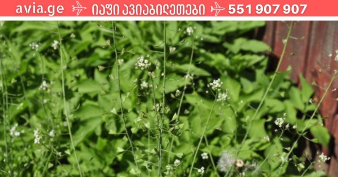 xr:d:DAFDpjCTLwk:1691,j:41114320836,t:22111606