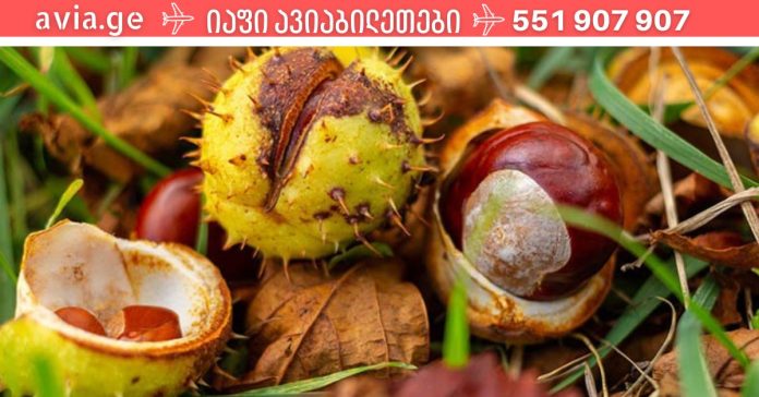 xr:d:DAFDpjCTLwk:1670,j:40871843996,t:22111406