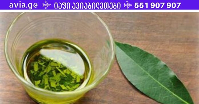 xr:d:DAFDpjCTLwk:1353,j:36561661568,t:22092817