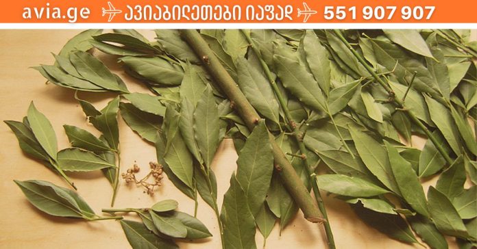 xr:d:DAFDpjCTLwk:1869,j:43626347113,t:22121406