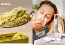 5 გზა, რომლითაც თქვენს სახლს გრიპის ვირუსისგან დაიცავთ გრიპის მორჩენა მდოგვის დახმარებით – მარტივი ხალხური მეთოდი უსწრაფესად მოგარჩენთ