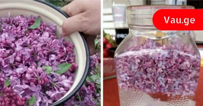 iasamani-samkurnalod