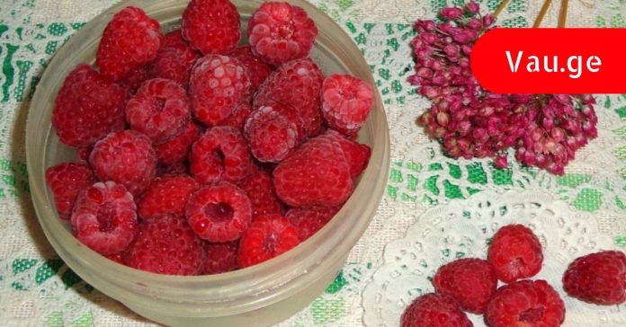 jolos-samkurnalo-tvisebebi