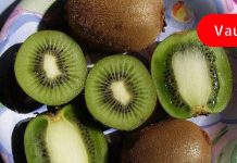 აი, რა ცვლილებები მოხდება თქვენს ორგანიზმში, თუ კივის ყოველდღე მიირთმევთ! შედეგები უბრალოდ გასაოცარია!