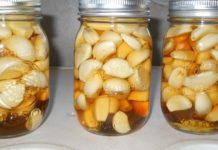 სასწაულმოქმედი სიროფი – ნიორი და თაფლი: როგორ მოქმედებს ეს კომბინაცია ჯანმრთელობაზე?