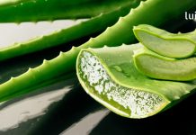 დაივიწყეთ სათვალე და გაიუმჯობესეთ მხედველობა ამ საოცარი რეცეპტით! აუცილებლად სცადეთ..