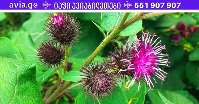 xr:d:DAFDpjCTLwk:1473,j:38155215446,t:22101615