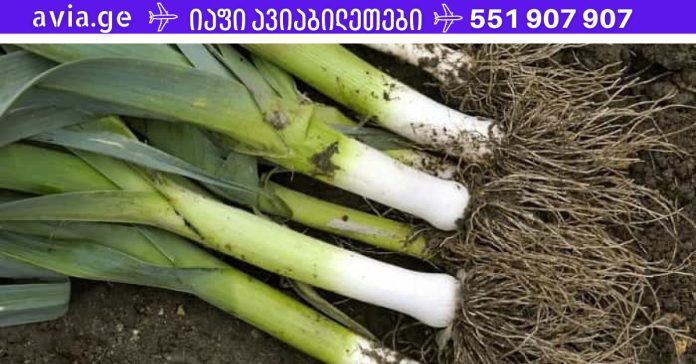 xr:d:DAFDpjCTLwk:1400,j:37039483221,t:22100407