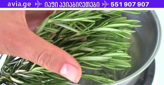 xr:d:DAFDpjCTLwk:1394,j:37034501683,t:22100405