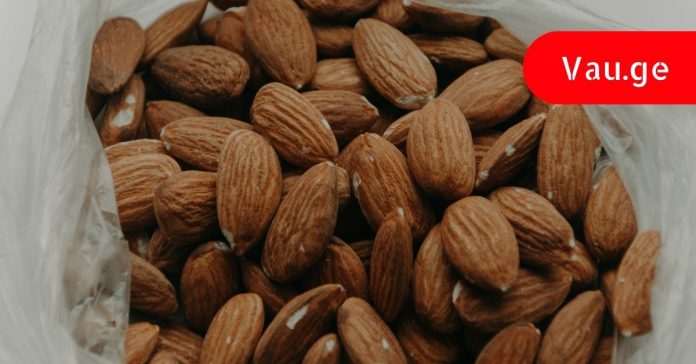 sisxlis-gamatxelebeli