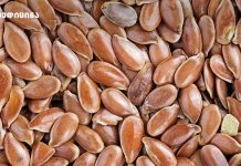 სელის თესლი, ბუნებრივი სუპერ საკვები – ეს ყველამ უნდა იცოდეს სელის თესლი, ბუნებრივი სუპერ საკვები - ეს ყველამ უნდა იცოდეს