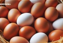 კვერცხი – ბუნებრივი სუპერფუდი, რომელიც თქვენს ჯანმრთელობას აძლიერებს! კვერცხი – ბუნებრივი სუპერფუდი, რომელიც თქვენს ჯანმრთელობას აძლიერებს!