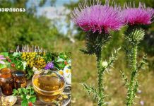 გაიგეთ რა არის კენჭოვანი დაავადების მიზეზები და როგორ უმკურნალოთ მას ხალხური მედიცინით. გაიგეთ რა არის კენჭოვანი დაავადების მიზეზები და როგორ უმკურნალოთ მას ხალხური მედიცინით.