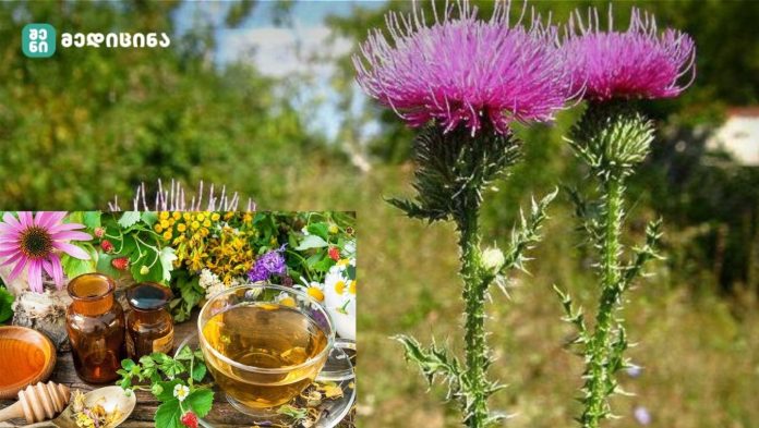 გაიგეთ რა არის კენჭოვანი დაავადების მიზეზები და როგორ უმკურნალოთ მას ხალხური მედიცინით.