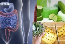 სუფთა ნაწლავები, მსუბუქი სხეული, ახალი დასაწყისი გინდა ბუნებრივი გზა, რომლითაც ნაწლავები გაასუფთავო და ორგანიზმი „გადატვირთო“? სუფთა ნაწლავები, მსუბუქი სხეული, ახალი დასაწყისი გინდა ბუნებრივი გზა, რომლითაც ნაწლავები გაასუფთავო და ორგანიზმი „გადატვირთო“?