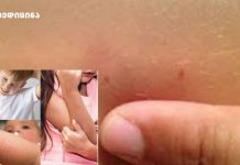 แแแแแแแแแ แแฃแแแก แแแฃแ แแแแแแแก แ แแแแแแแแ แฎแแแฎแฃแ แแแแแแก. แแแแแแแก แแแแแแแแแ แกแแฎแแจแ แแแ แขแแแแแแ แจแแกแแซแแแแแแ แแฃแแแก แแแฃแ แแแแแแ แฎแแแฎแฃแ แ แแแแแแแแแ