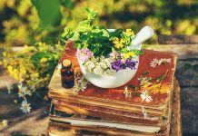 Exploring Traditional Medicine Across the Caucasus: Georgia, Armenia, Azerbaijan, and Turkey