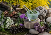 Harnessing the Power of Nature: Calming Stress and Boosting Energy with Georgian Medicinal Herbs