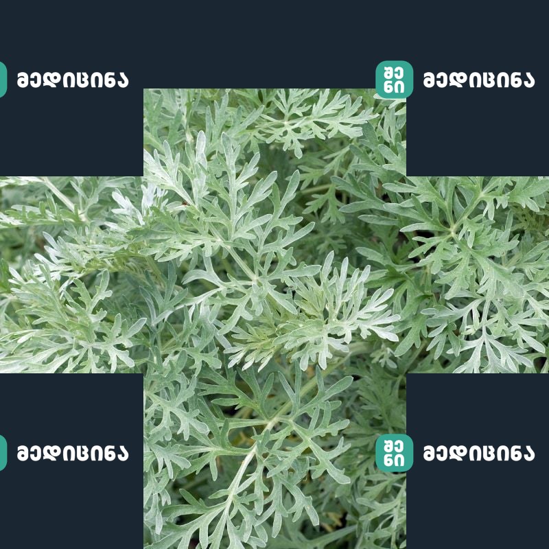 abzinda 1