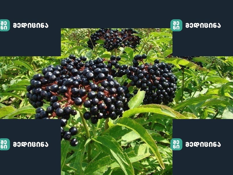 content 10 econet ru
