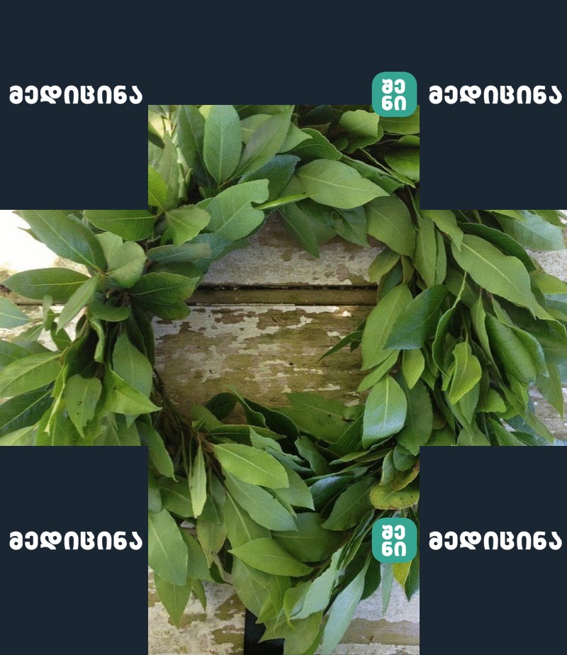 content bay leaves 7 tested recipes of traditional medicine33 econet ru