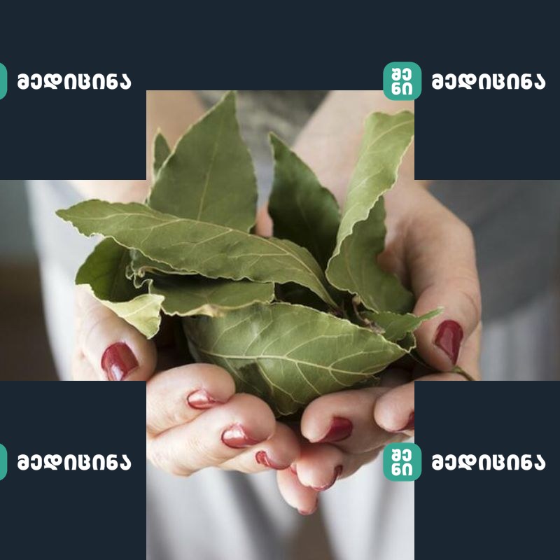 დაფნის ფოთლის უჩვეულო და სასარგებლო თვისებები! გაიგეთ მეტი ამ საოცარი მცენარის შესახებ! 1 dafnis fotlebi