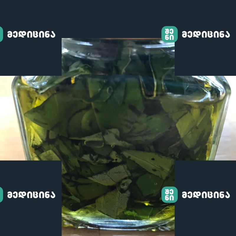 dafnis zeti