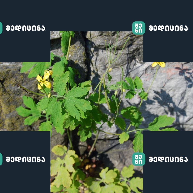 qristesiskhla