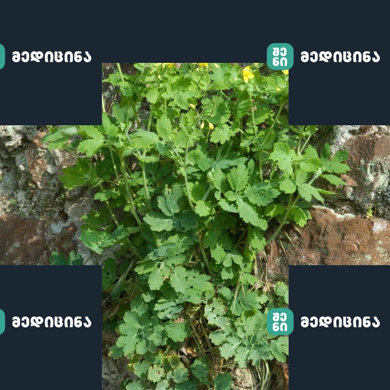 ქრისტესისხლა მკურნალობს უფრო ეფექტურად, ვიდრე ძვირადღირებული ფარმაცევტული მედიკამენტები! 1 ქრისტესისხლა მკურნალობს უფრო ეფექტურად, ვიდრე ძვირადღირებული ფარმაცევტული