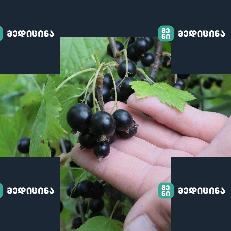 shavi