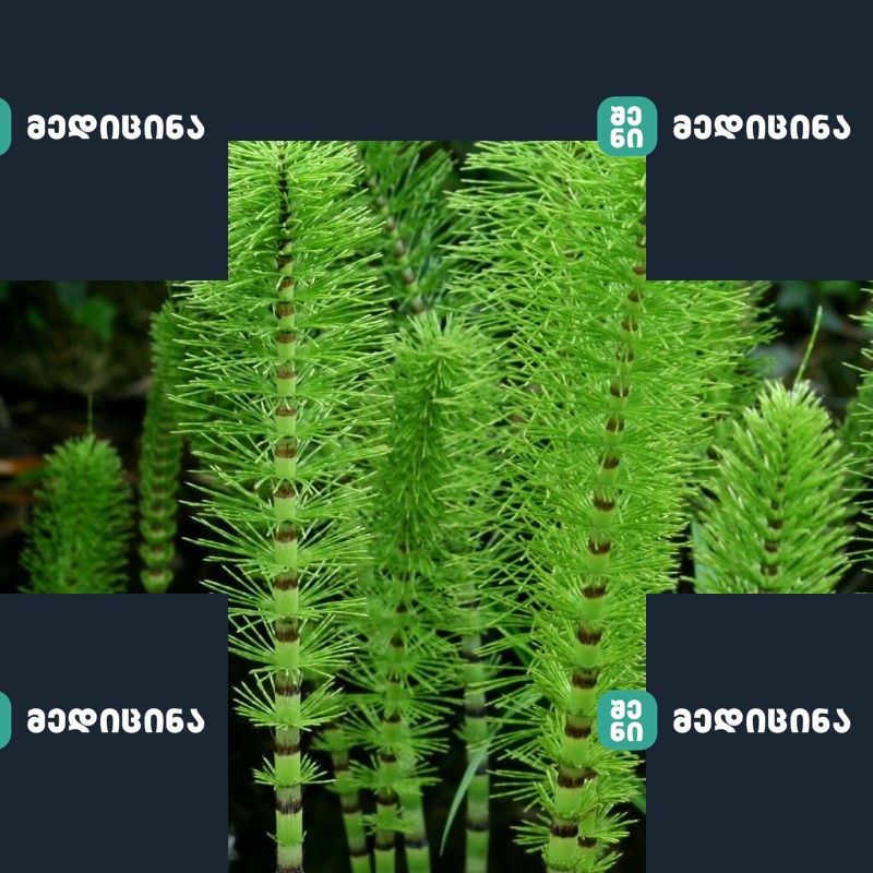 shvita