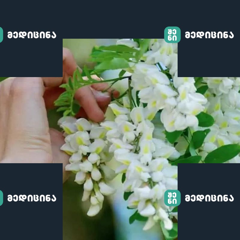 tetri akacia